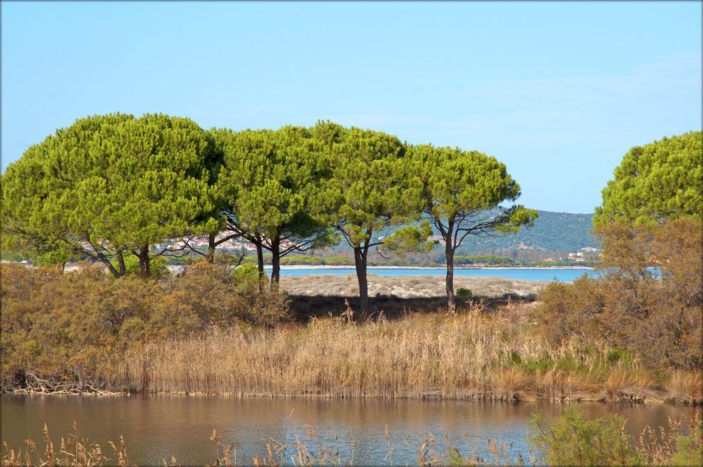 Appartamenti Le Magnolie Budoni Kültér fotó